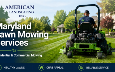 Maryland Lawn Mowing Services